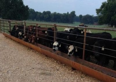 Feed Bunks - Superior Steel